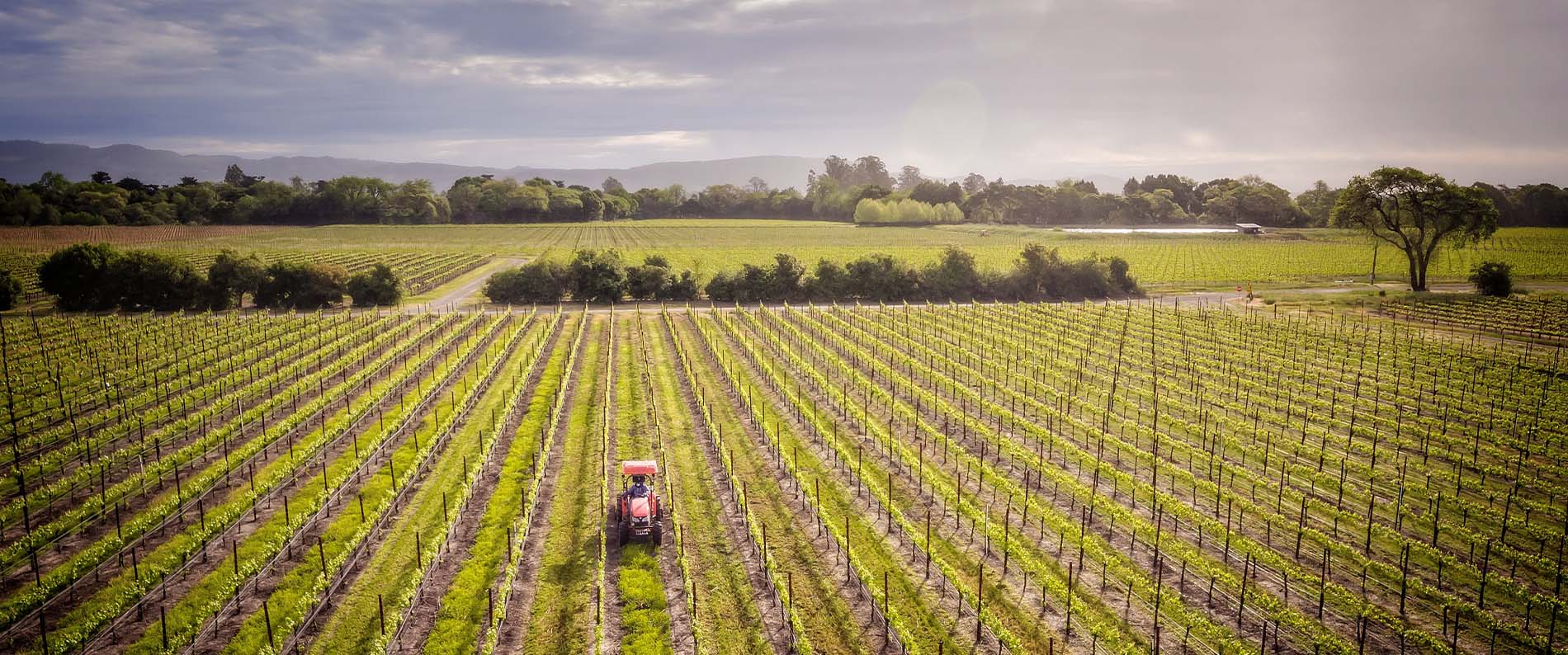 Quality at Every Turn